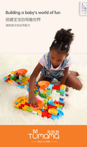 52-208Pcs Maze Balls Track Building Blocks