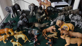 Original Genuine Wild Animal Model Toys