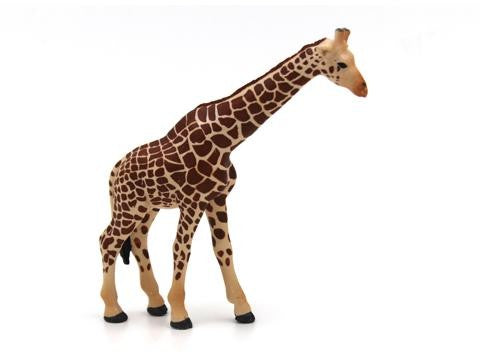 Original Genuine Wild Animal Model Toys