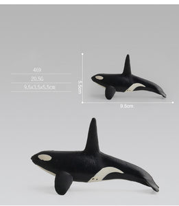 Ocean Life Animal Model Toys