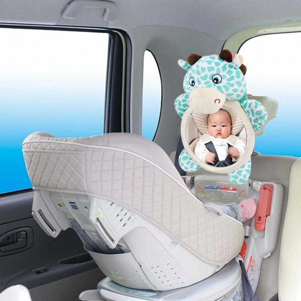 Baby Rear Facing Mirrors