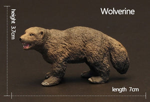 Original Genuine Wild Animal Model Toys