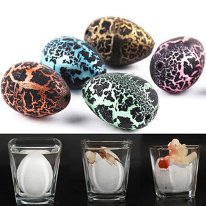 10Pcs Magic Hatching Dinosaur Eggs