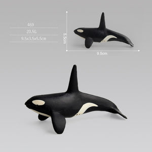 Ocean Life Animal Model Toys