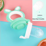 Baby pacifier Fruit Feeder